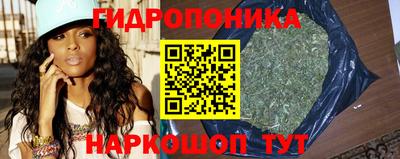 крисы Краснокаменск