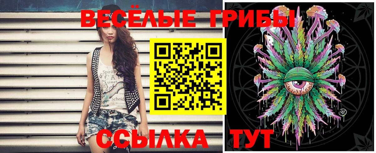 Йошкар-Ола  Псилоцибиновые грибы мухоморы  Вход с VPN 
