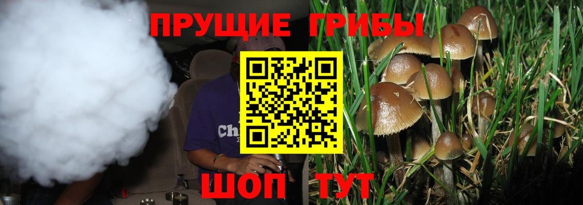 Псилоцибиновые грибы мицелий Йошкар-Ола